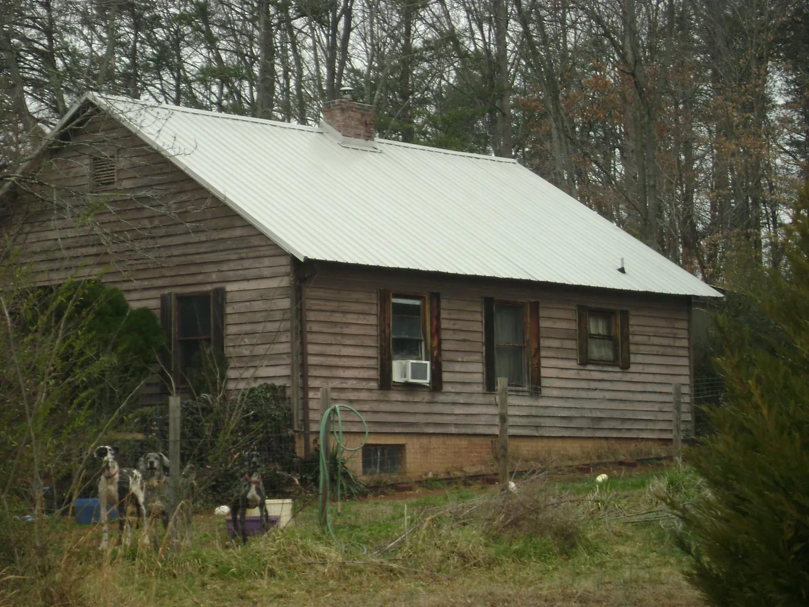 White metal roof on an old wood sided farmhouse, from a Asphalt Shingle Roof Repair job in Pemberton
